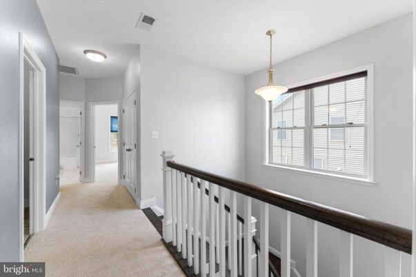 Interior, Pendant Lights