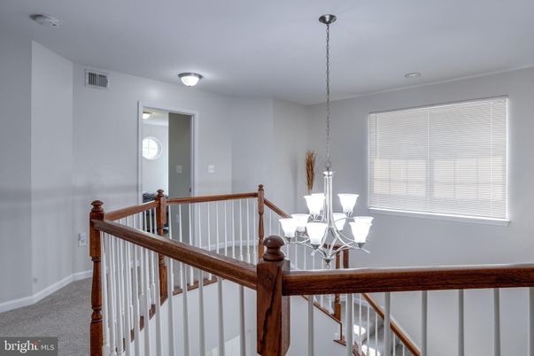 Interior, Pendant Lights