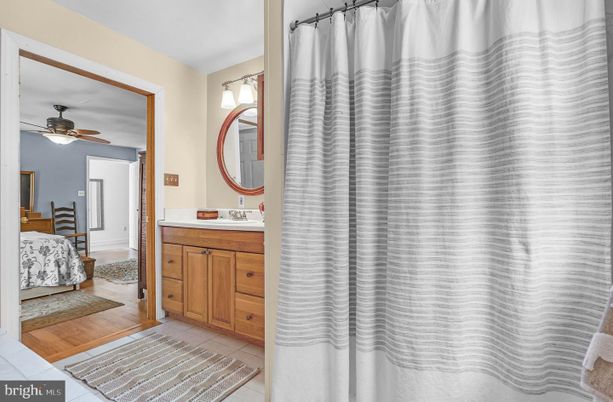 Bathroom, Interior, Wood Texture Flooring