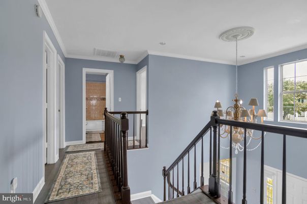 Chandelier, Interior, Wood Texture Flooring