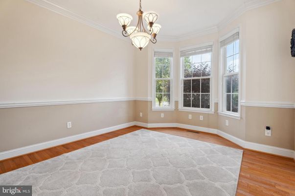 Chandelier, Interior, Wood Texture Flooring