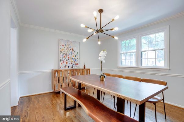 Dining room, Interior, Pendant Lights, Wood Texture Flooring
