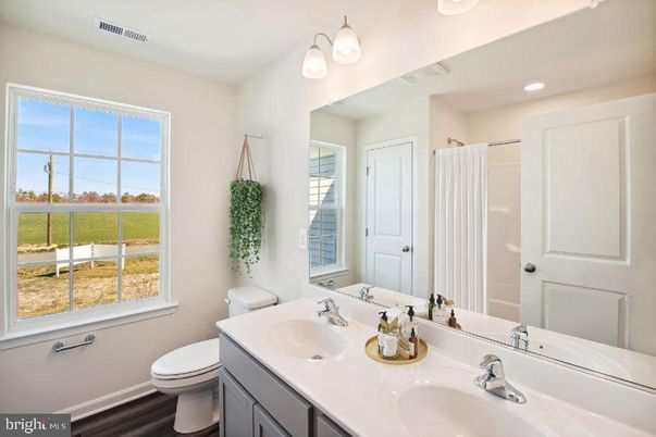 Bathroom, Dual Sink Vanities, Interior, Recessed Lighting, Wood Texture Flooring