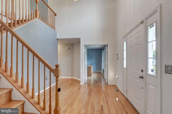 Interior, Wood Texture Flooring