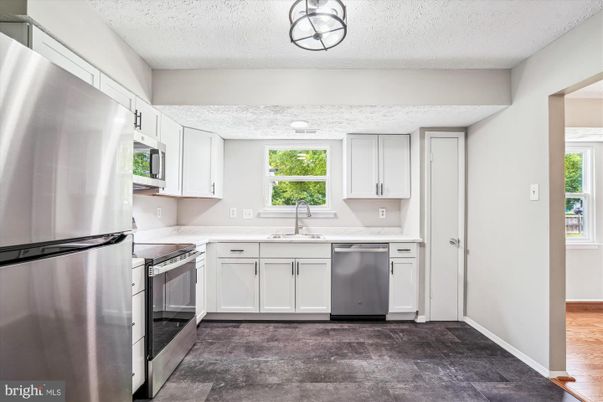 Interior, Kitchen, Stainless Steel Appliances, Wood Texture Flooring