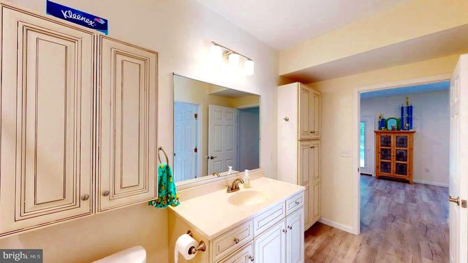 Bathroom, Interior, Wood Texture Flooring