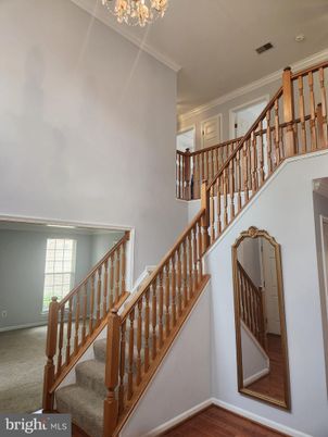 Chandelier, Interior, Wood Texture Flooring