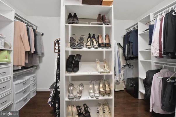 Interior, Walk-in Closets, Wood Texture Flooring