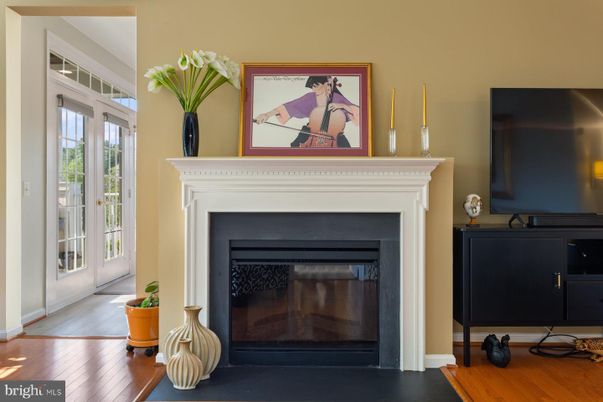 Fireplace, Interior, Wood Texture Flooring