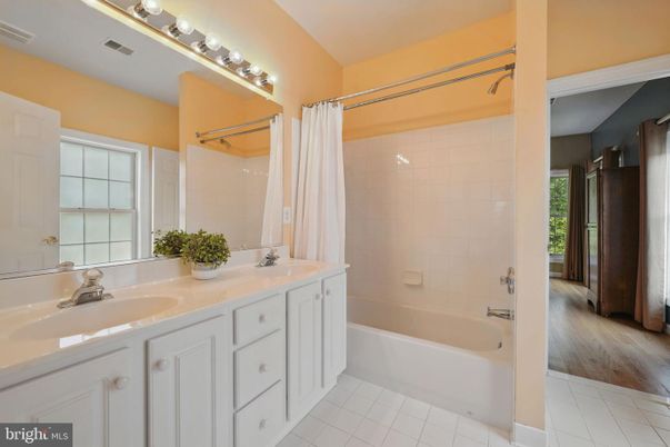 Bathroom, Dual Sink Vanities, Interior, Wood Texture Flooring