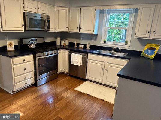 Interior, Kitchen, Stainless Steel Appliances, Wood Texture Flooring