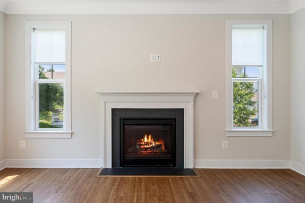 Fireplace, Interior, Wood Texture Flooring