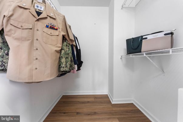 Interior, Walk-in Closets, Wood Texture Flooring