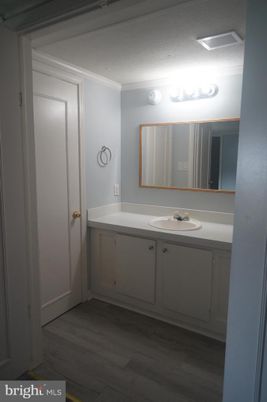 Bathroom, Dual Sink Vanities, Interior, Wood Texture Flooring
