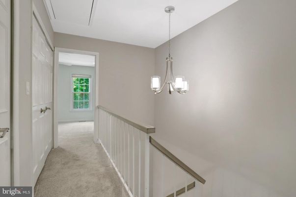 Interior, Pendant Lights