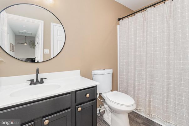 Bathroom, Interior, Wood Texture Flooring