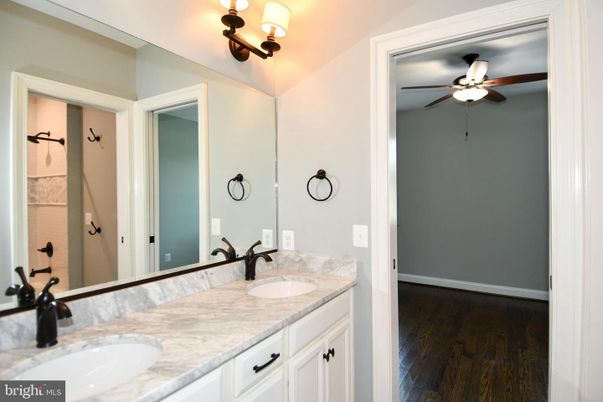 Bathroom, Dual Sink Vanities, Interior, Wood Texture Flooring