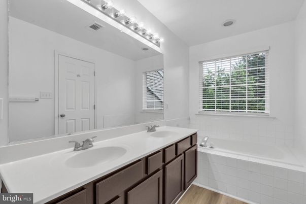 Bathroom, Dual Sink Vanities, Interior, Wood Texture Flooring