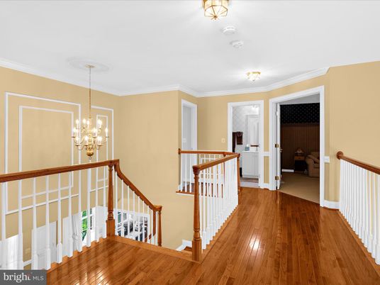 Chandelier, Interior, Wood Texture Flooring
