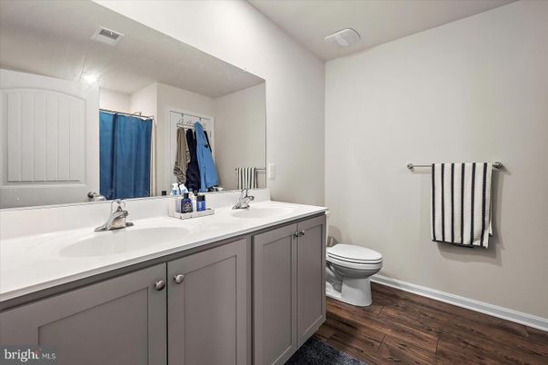 Bathroom, Dual Sink Vanities, Interior, Wood Texture Flooring