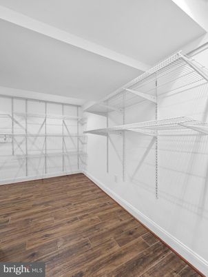 Interior, Walk-in Closets, Wood Texture Flooring