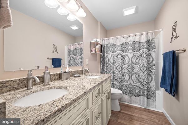 Bathroom, Dual Sink Vanities, Interior, Wood Texture Flooring