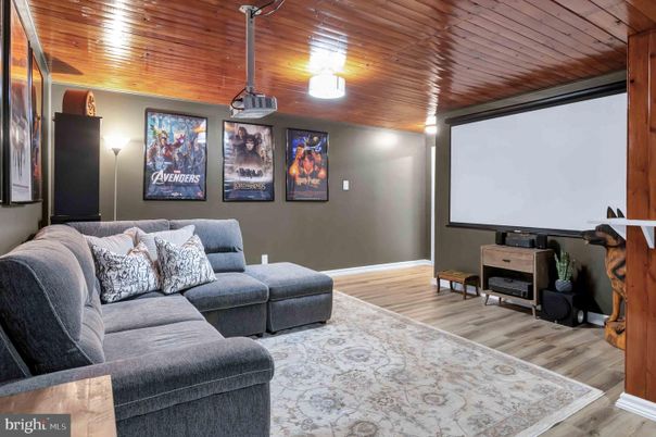 Interior, Living room, Projection Screen, Wooden Ceilings, Wood Texture Flooring