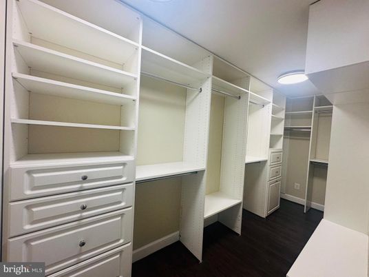 Interior, Walk-in Closets, Wood Texture Flooring