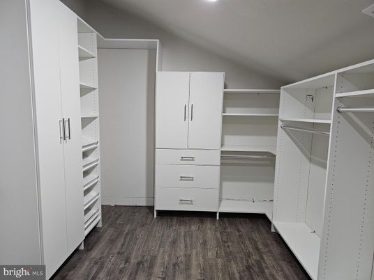 Interior, Recessed Lighting, Walk-in Closets, Wood Texture Flooring