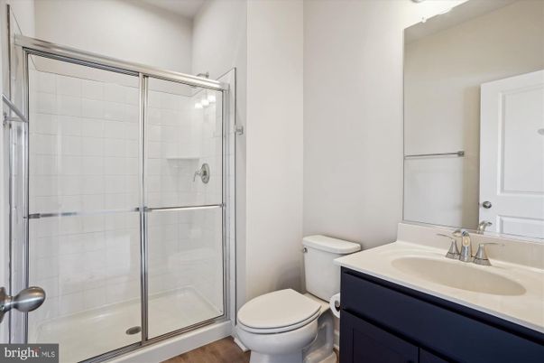 Bathroom, Glass Shower, Interior, Wood Texture Flooring