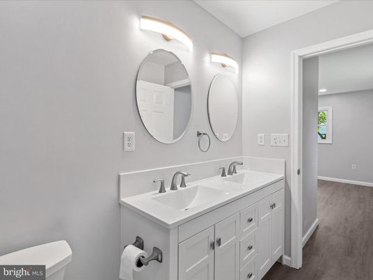Bathroom, Dual Sink Vanities, Interior, Wood Texture Flooring
