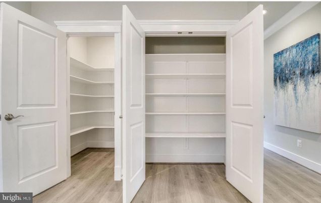 Interior, Walk-in Closets, Wood Texture Flooring