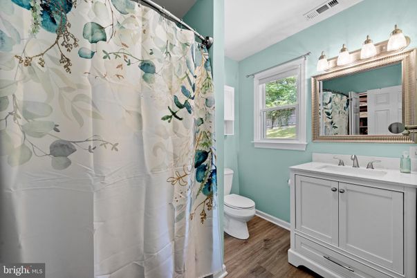 Bathroom, Interior, Wood Texture Flooring