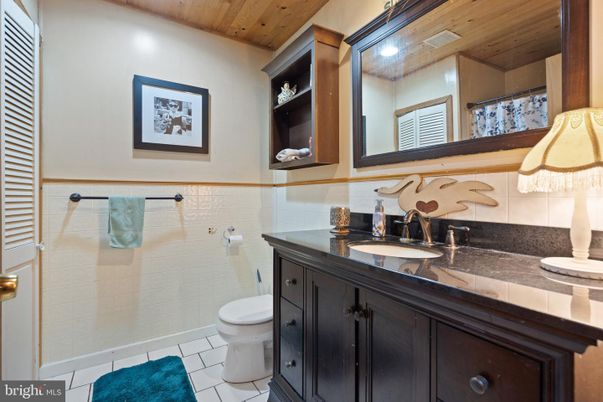 Bathroom, Interior, Wooden Ceilings