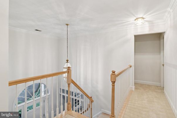 Interior, Pendant Lights
