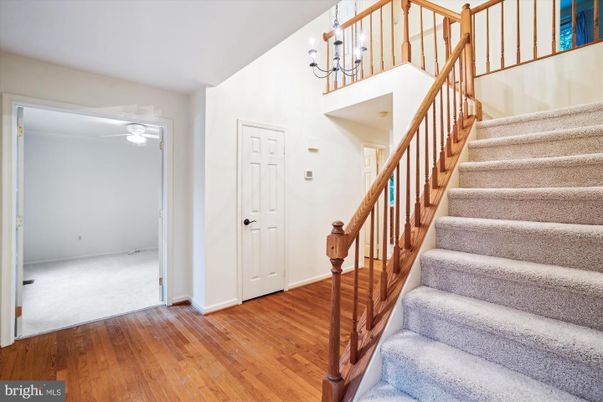 Chandelier, Interior, Wood Texture Flooring