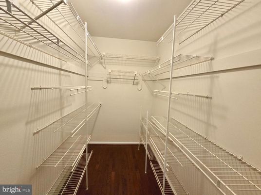 Interior, Walk-in Closets, Wood Texture Flooring