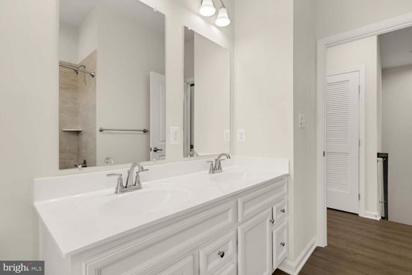 Bathroom, Dual Sink Vanities, Interior, Wood Texture Flooring
