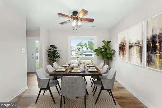 Dining room, Interior, Wood Texture Flooring