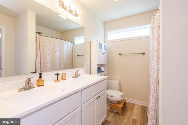Bathroom, Interior, Wood Texture Flooring