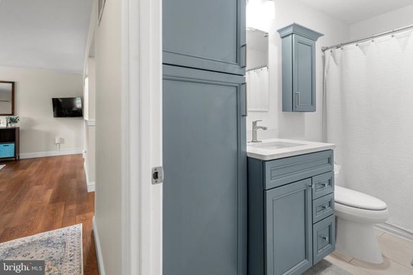 Bathroom, Interior, Wood Texture Flooring
