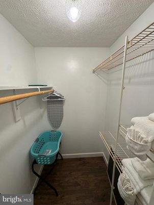 Interior, Walk-in Closets, Wood Texture Flooring