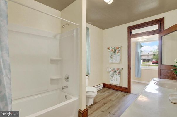 Bathroom, Interior, Wood Texture Flooring