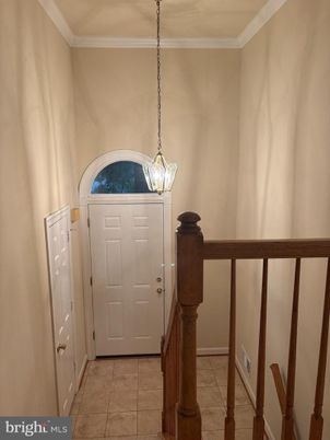 Interior, Pendant Lights