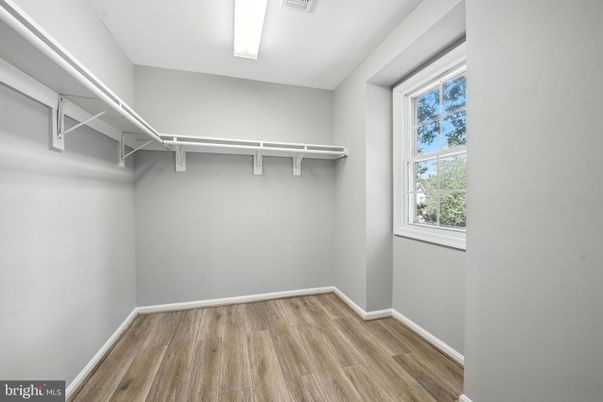 Interior, Walk-in Closets, Wood Texture Flooring