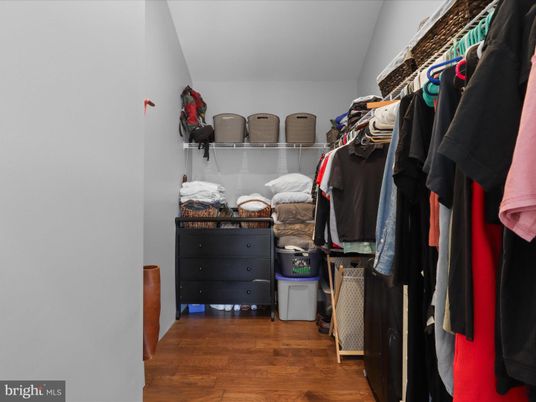 Interior, Walk-in Closets, Wood Texture Flooring