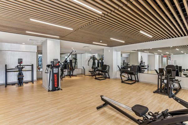 Fitness Equipment, Gym, Interior, Recessed Lighting, Wood Texture Flooring