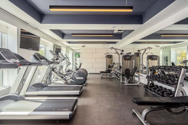 Fitness Equipment, Gym, Interior