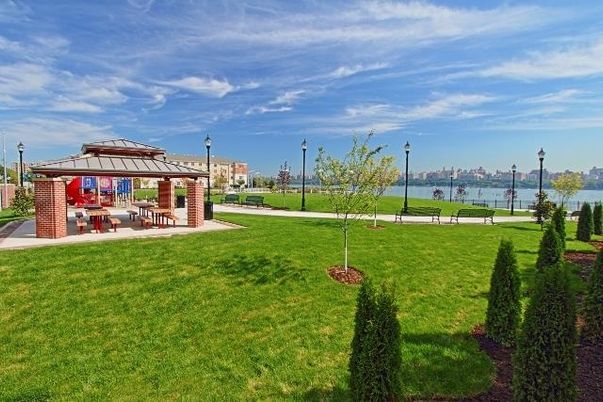 Backyard, Exterior, Water