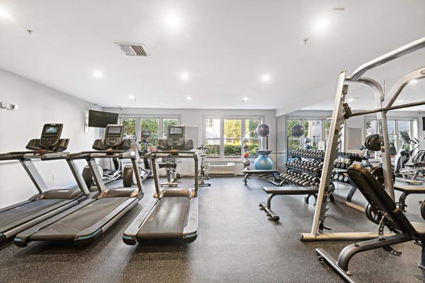 Fitness Equipment, Gym, Interior, Recessed Lighting